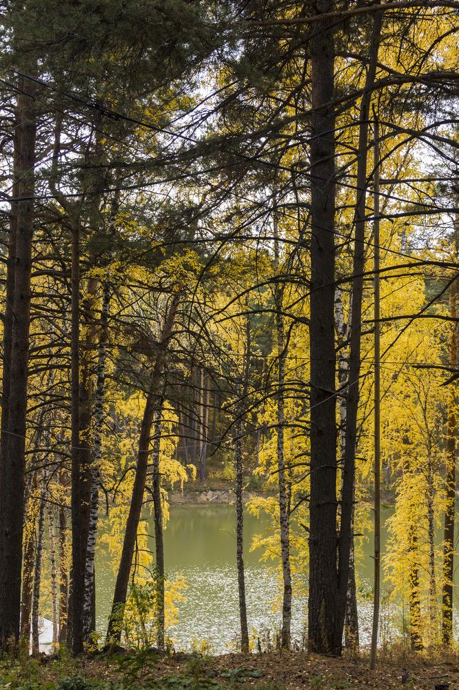 Photograph by Anna Gapanovich