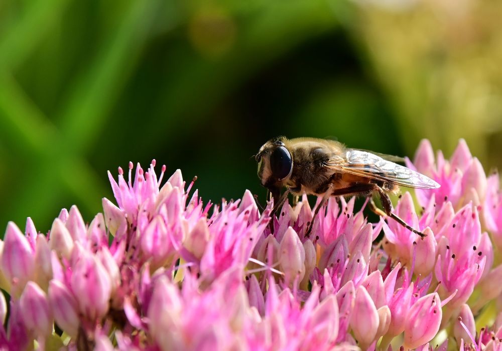 Photograph by Сергей Кривоносов