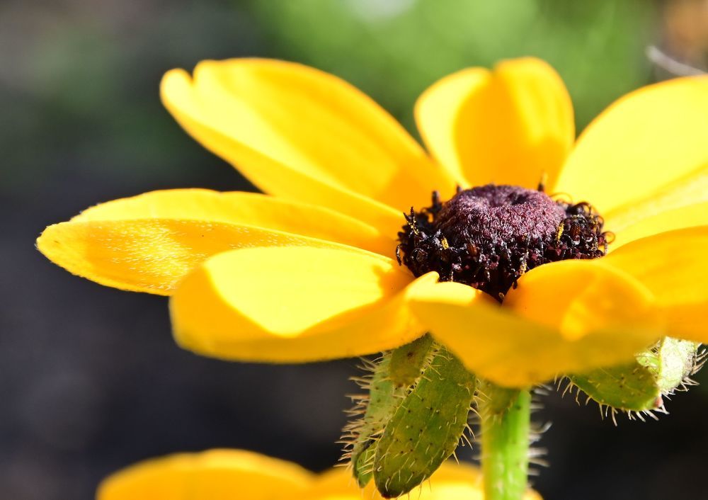 Photograph by Сергей Кривоносов