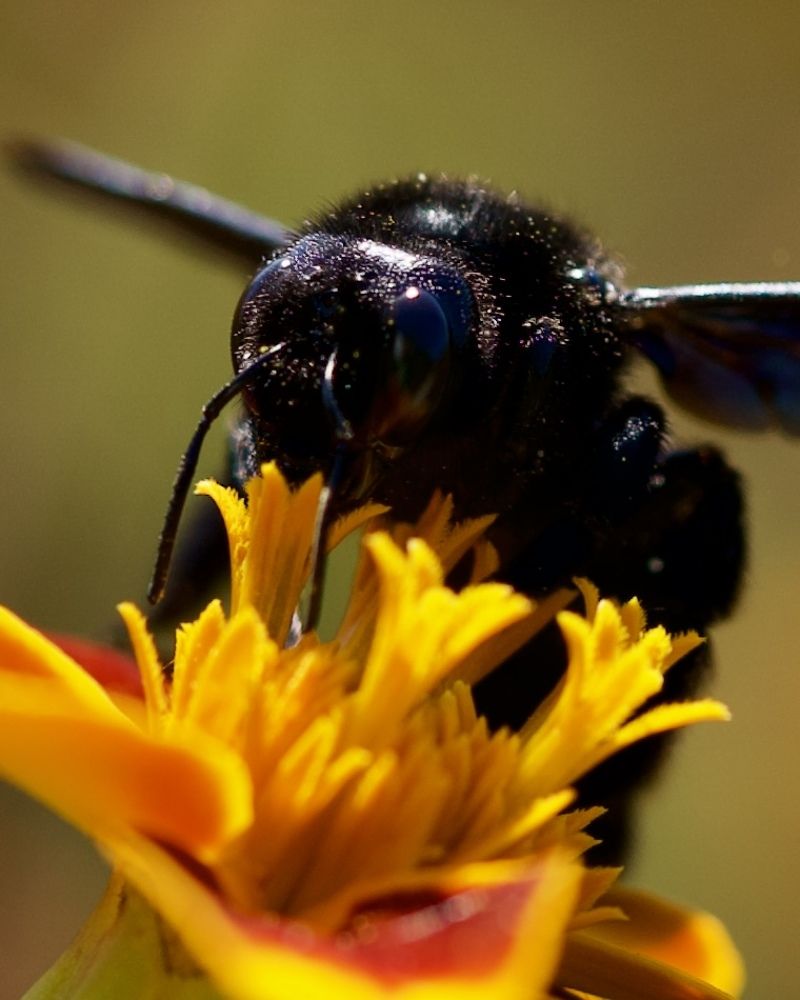 Photograph by Алексей Шевченко