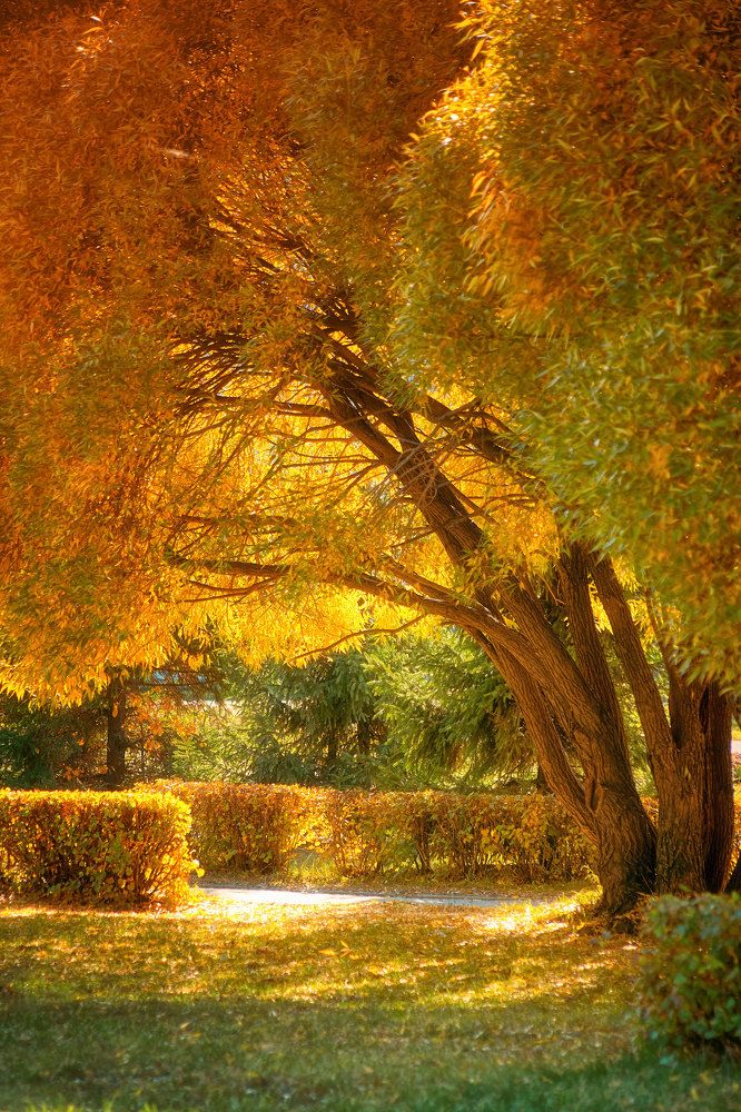 Photograph by Alexander Coin