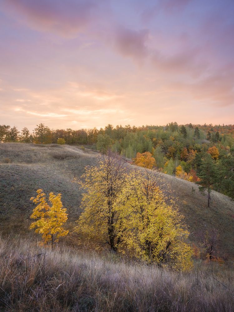 Фотография автора Игорь Филимонов