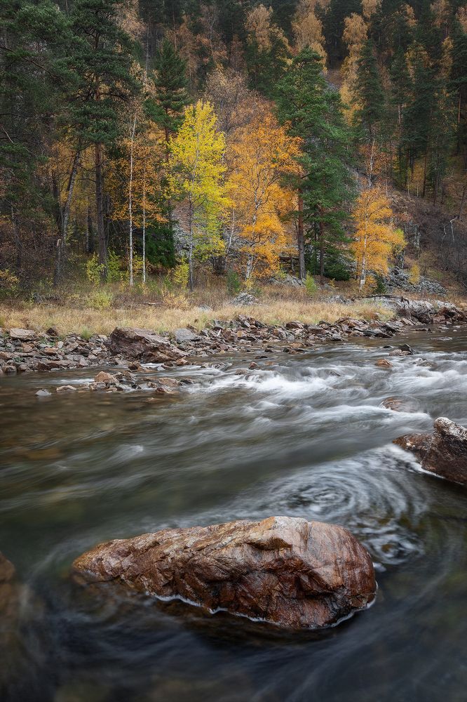 Фотография автора Игорь Филимонов