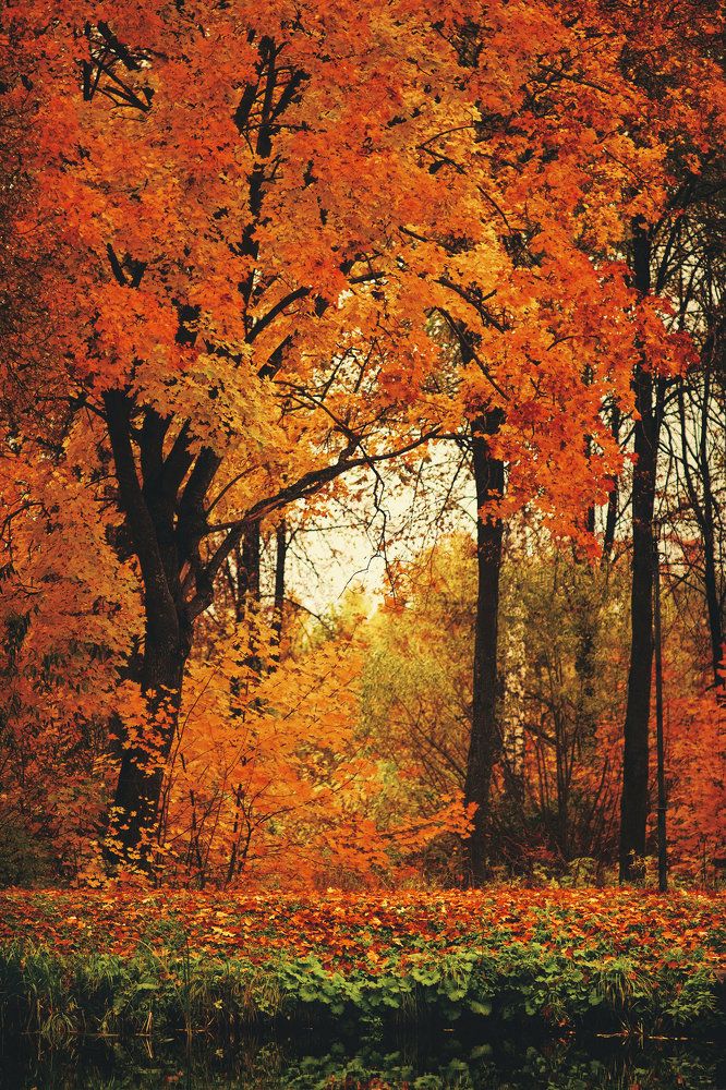 Photograph by Aleksey Leskov