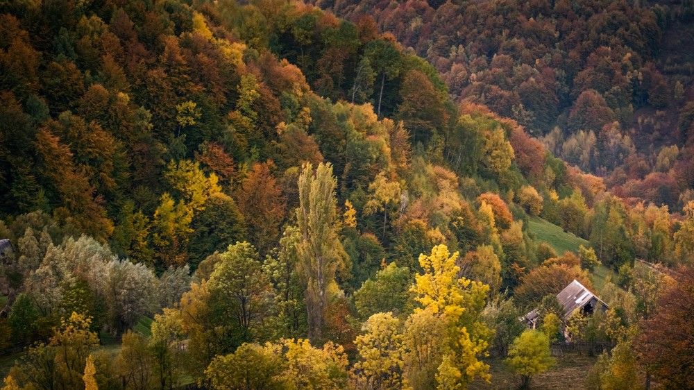 Photograph by Ovidiu Domşa