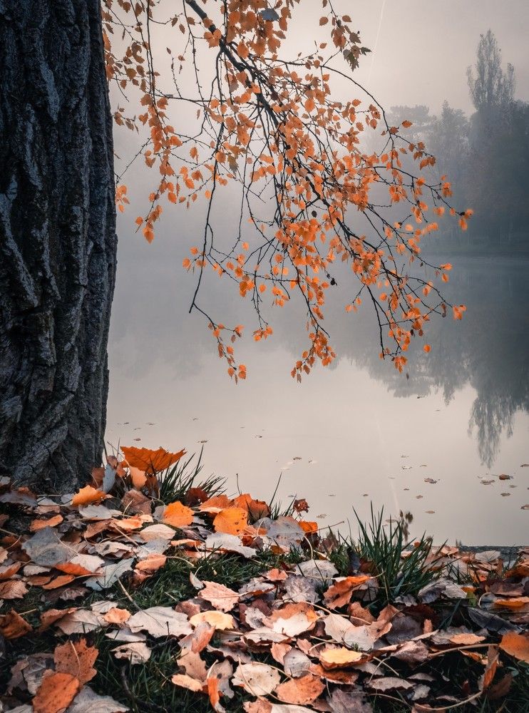 Photograph by Ovidiu Domşa
