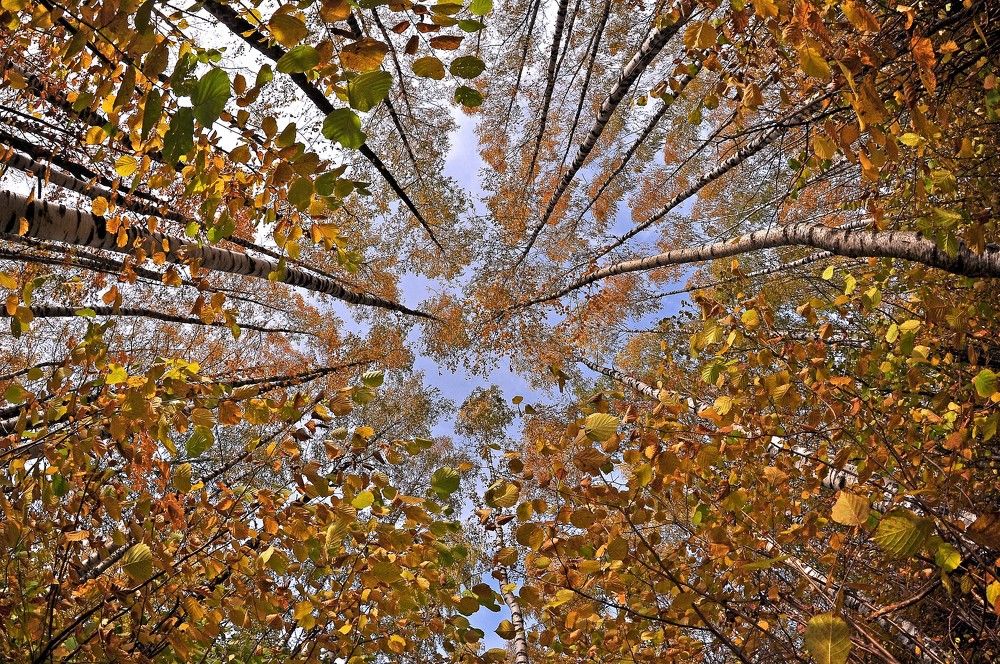 Photograph by Юрий Яковлев