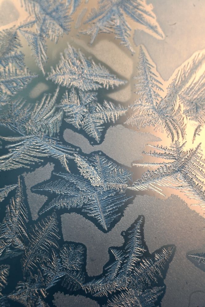 Photograph by Milla Luca