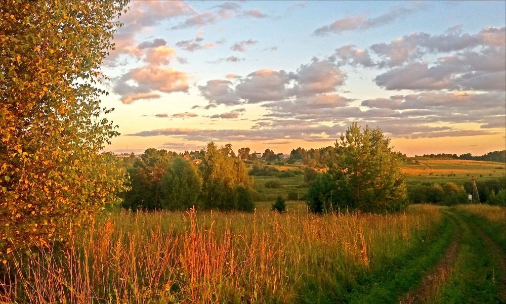 Photograph by Ольга