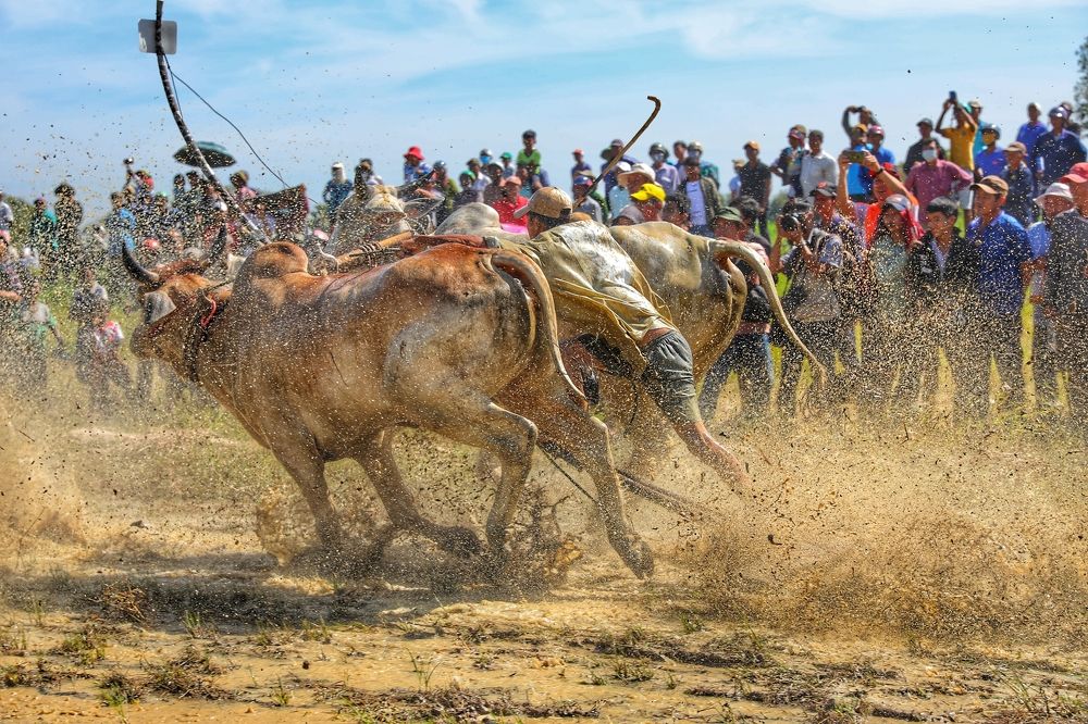 Фотография автора Tính Nguyễn
