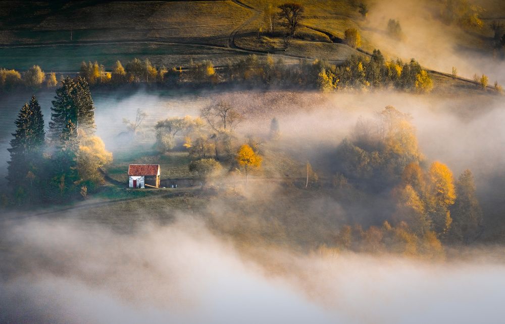 Photograph by Pujina Robert