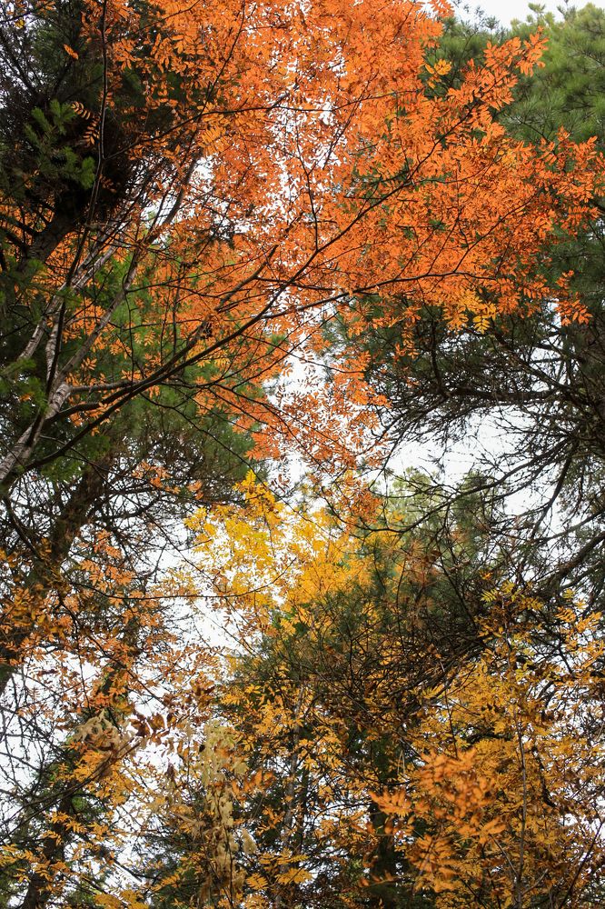 Photograph by Наталья Переверзева