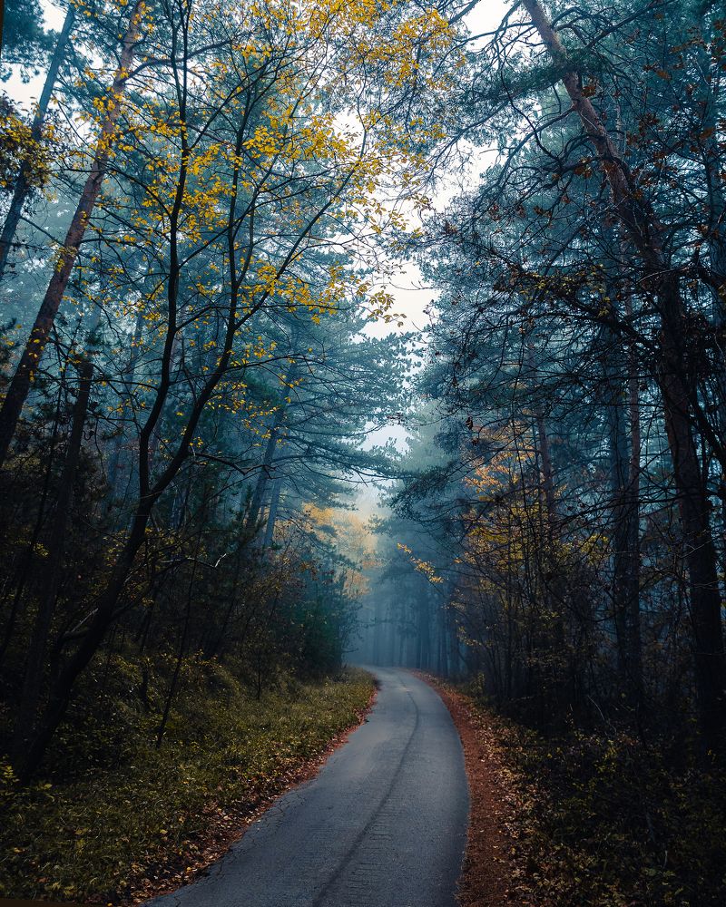 Photograph by Радослав Сотиров