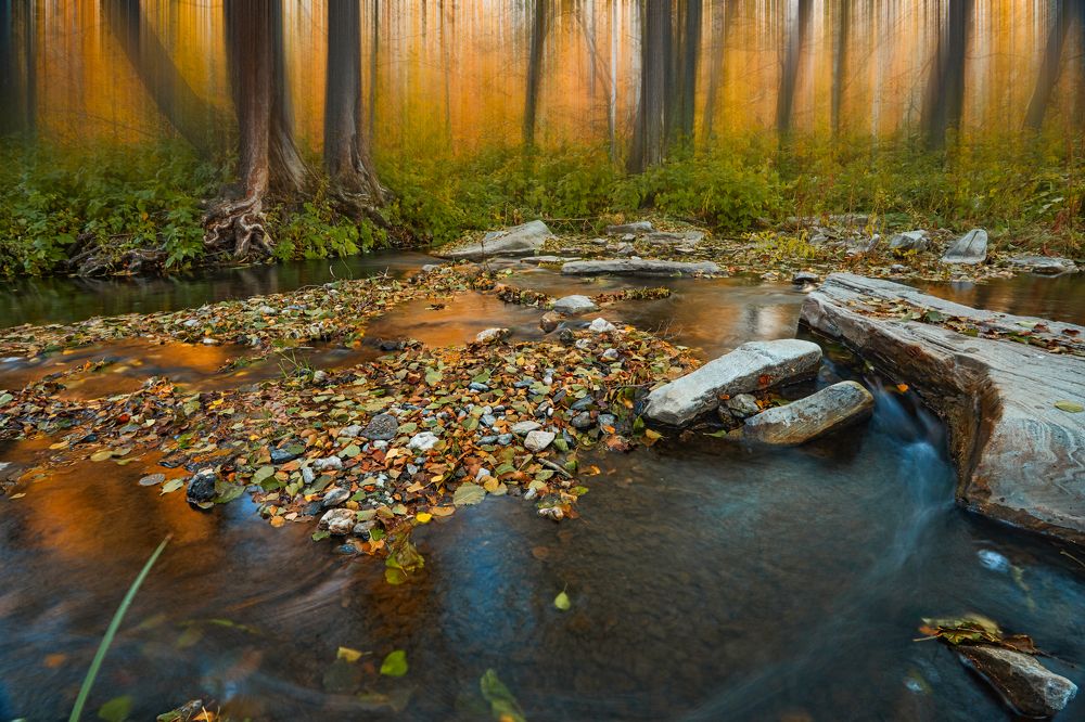 Photograph by Алексей Курочкин