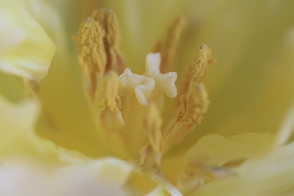 Photograph by Marie G