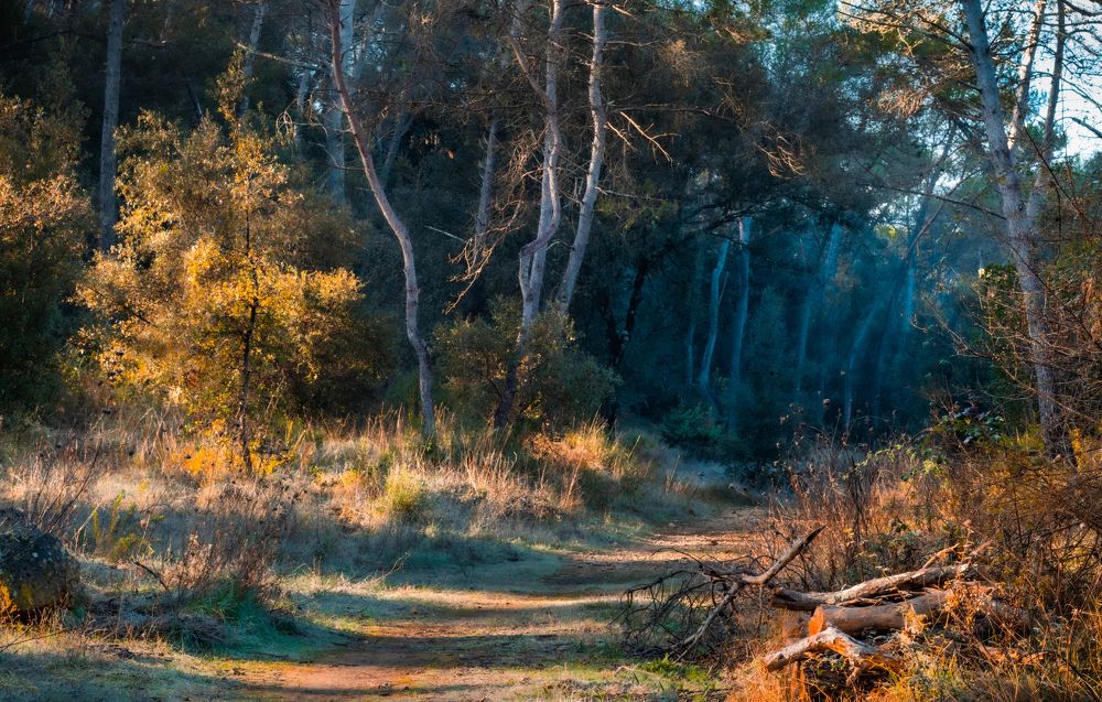 Photograph by Yevgeniya SHEREMET