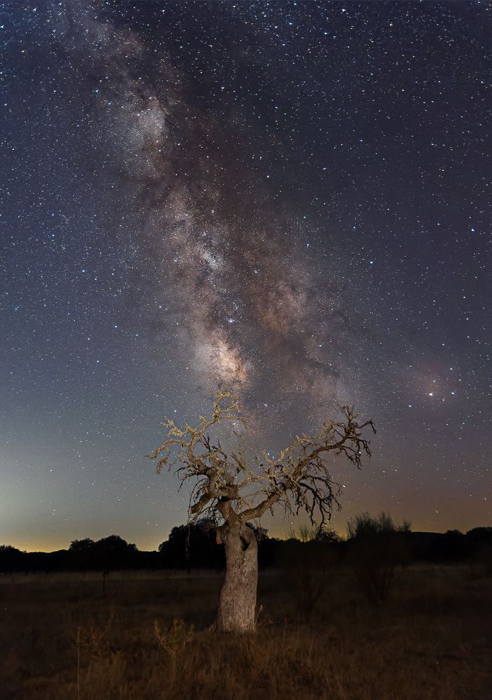 Photograph by Luis Miguel Rivas