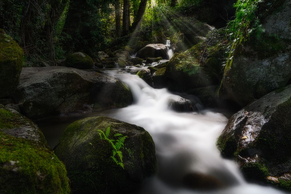 Photograph by Luis Miguel Rivas