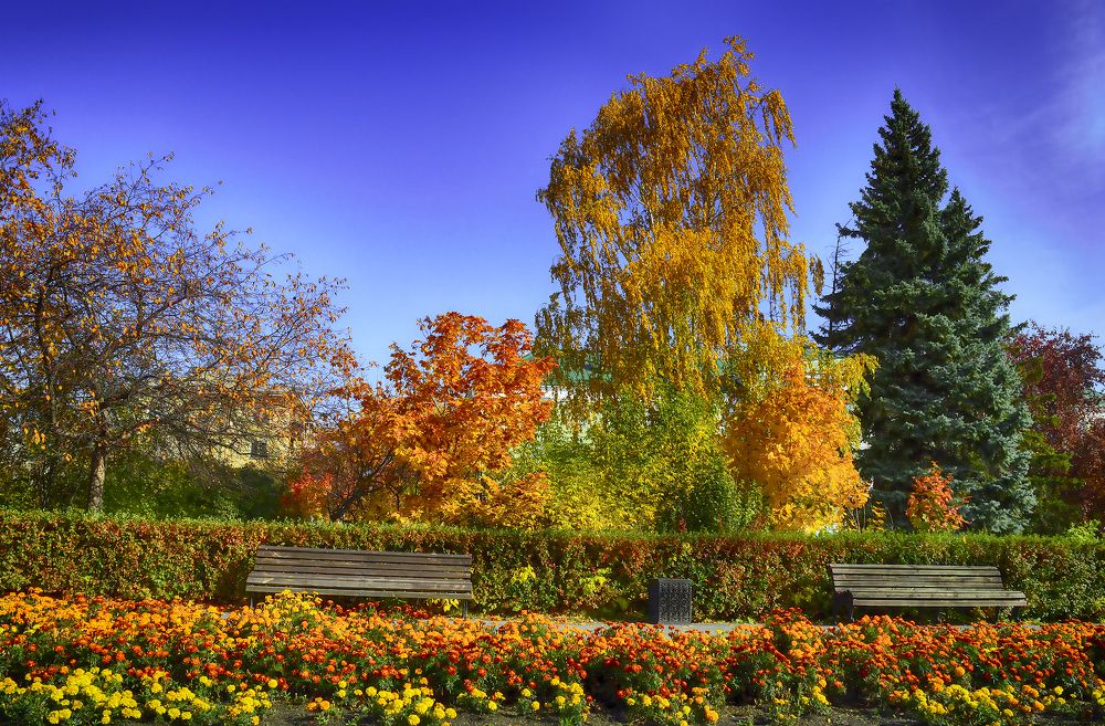 Photograph by Ирина Александрович