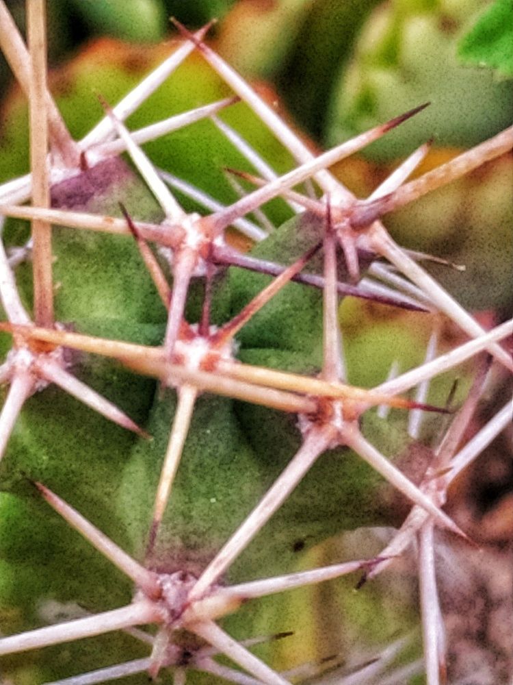 Photograph by Victor Manuel Torno