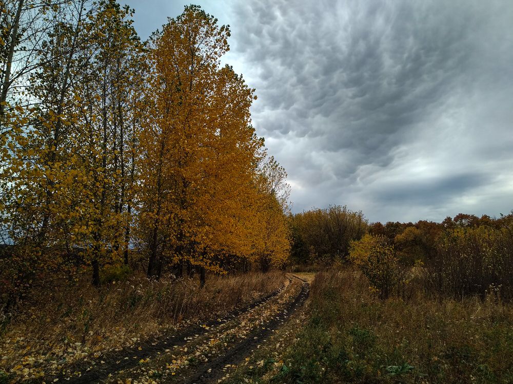 Photo #6559407