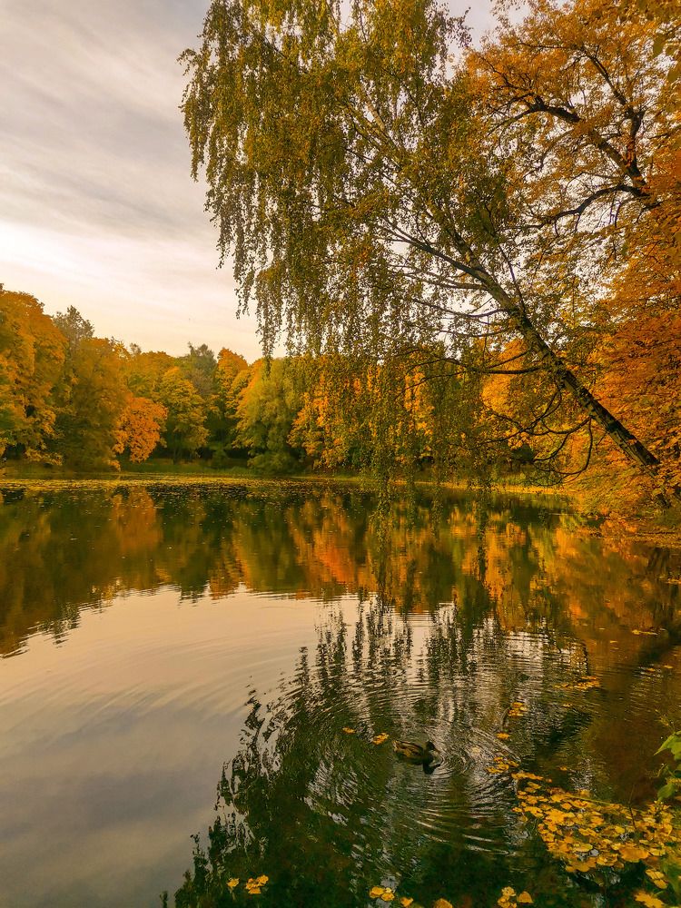 Photograph by Татьяна Антипова