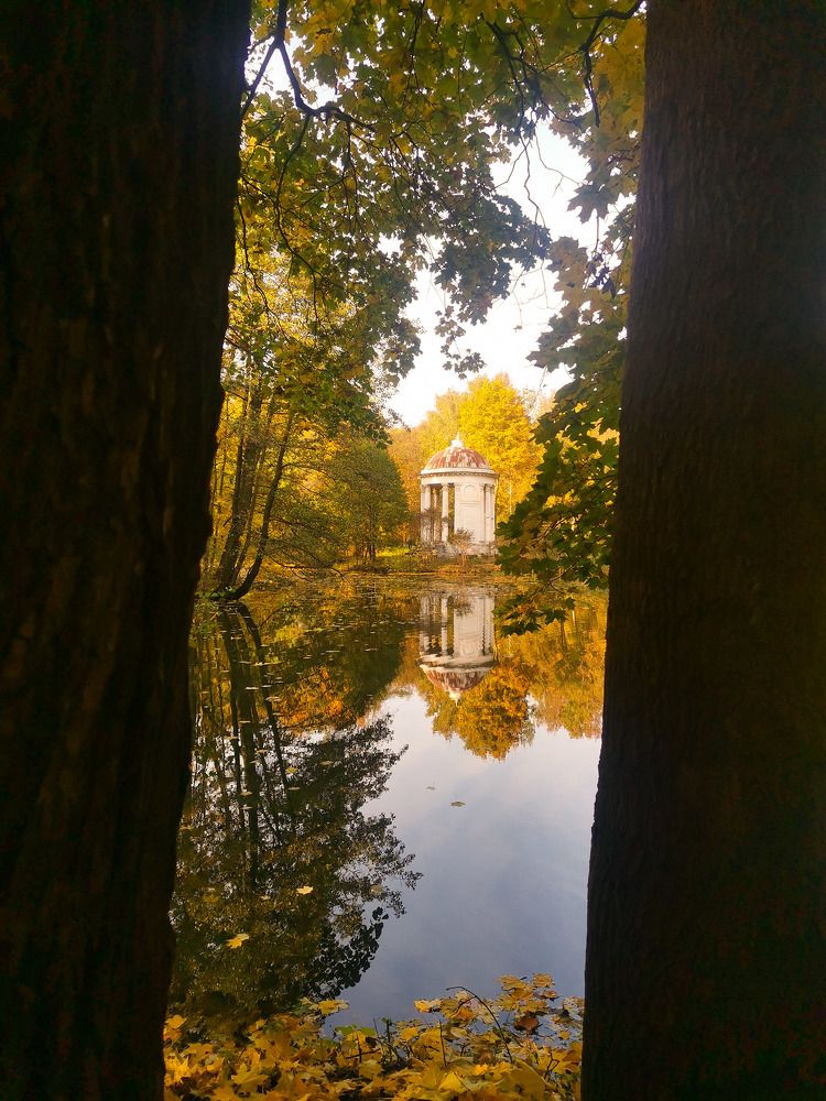 Photograph by Татьяна Антипова