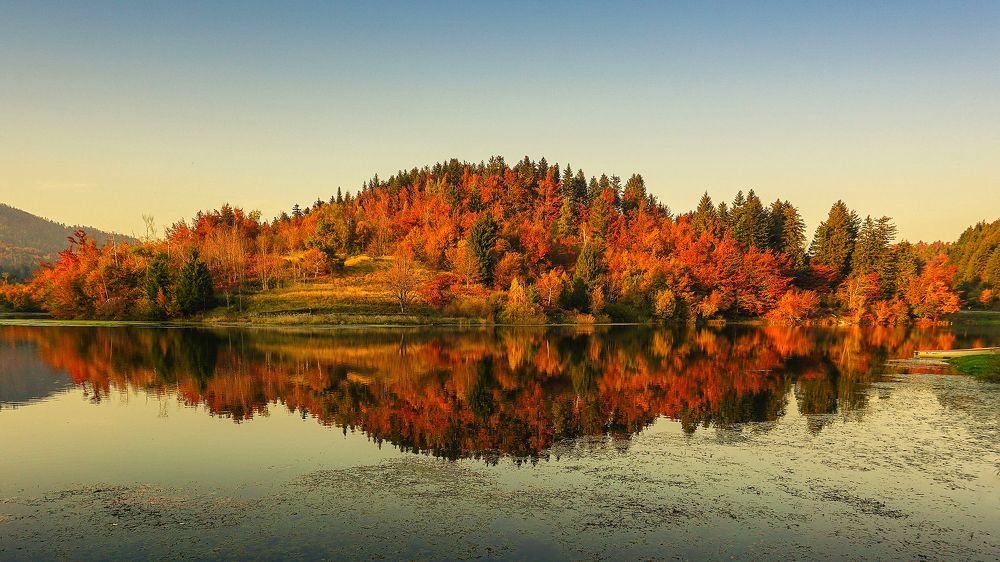 Photograph by Goran Grudic