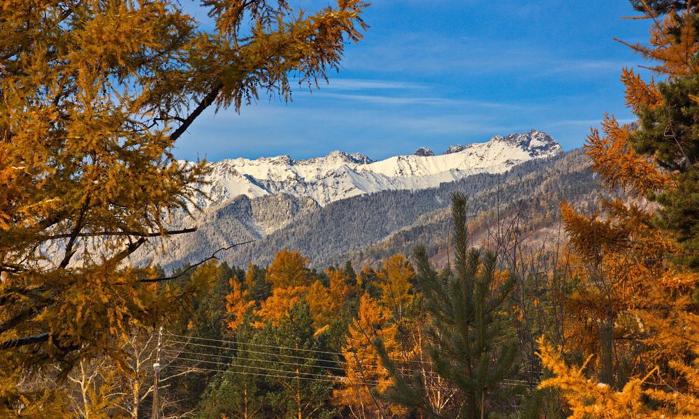 Photograph by Геннадий Лосев