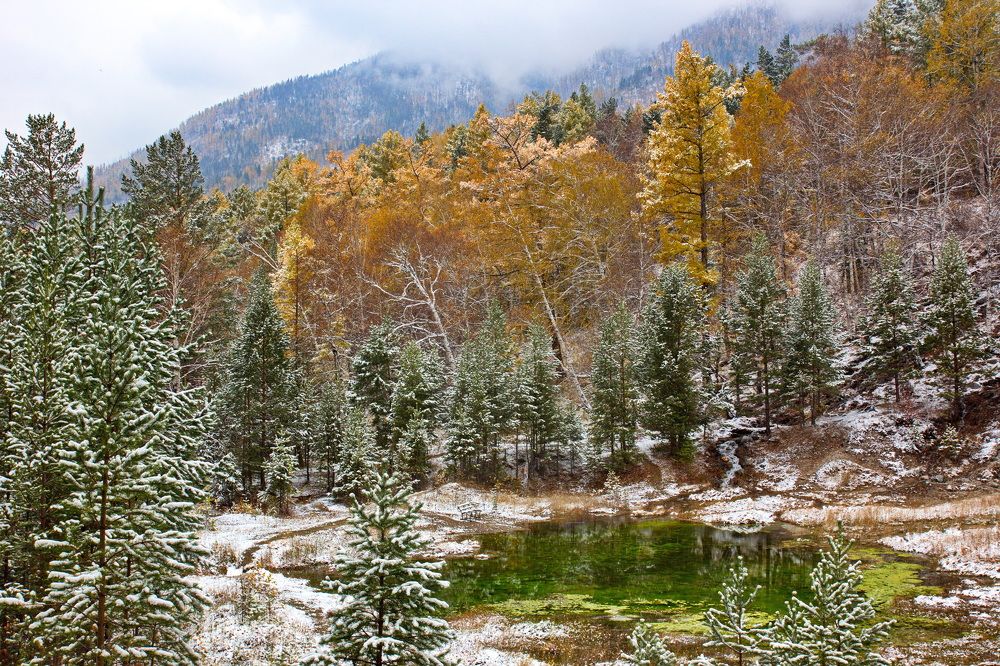 Photograph by Геннадий Лосев