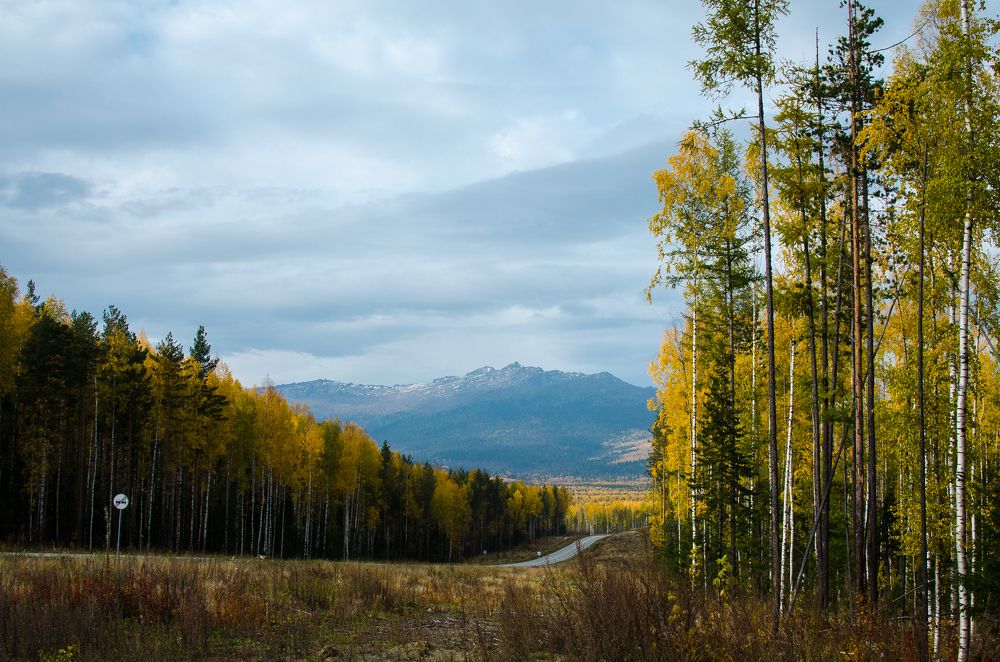 Photograph by Людмила Зяблова