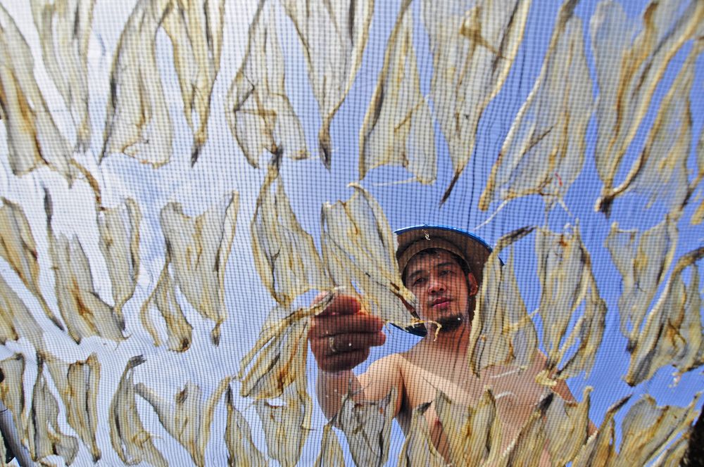Drying thin salted fish