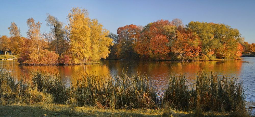 Буйство осенних красок.