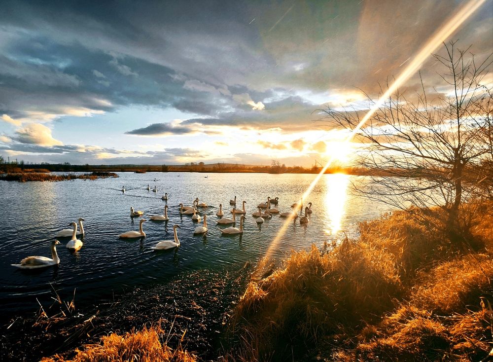 Краски осени