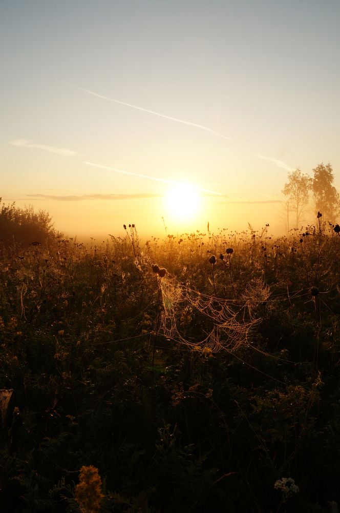 Photograph by Анастасия Шайдорова
