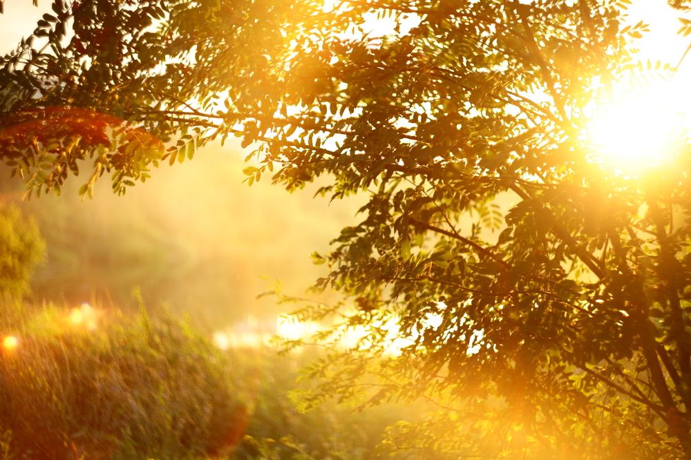 Photograph by Milla Luca