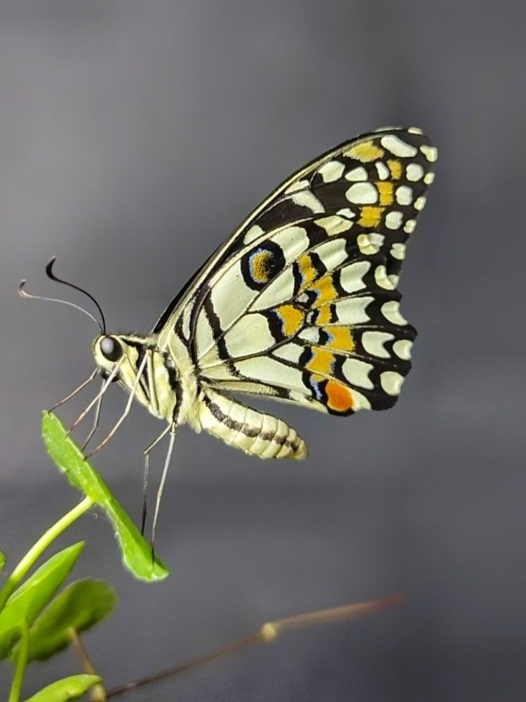 Photograph by Satishkumar Prakash