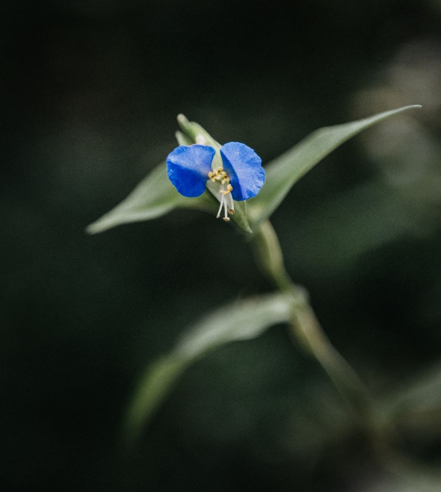 Photograph by Жанна Думинская