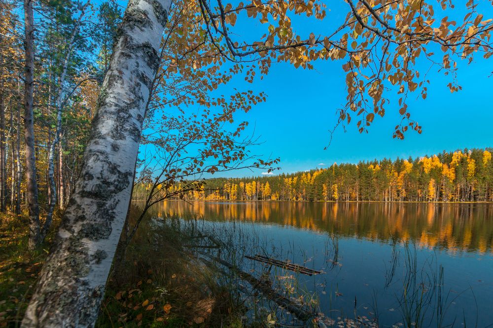 Осень на Карельском перешейке