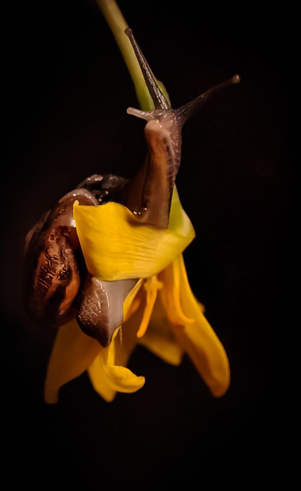 Photograph by Satishkumar Prakash