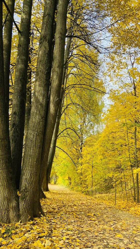 Photograph by Мария Сазонова