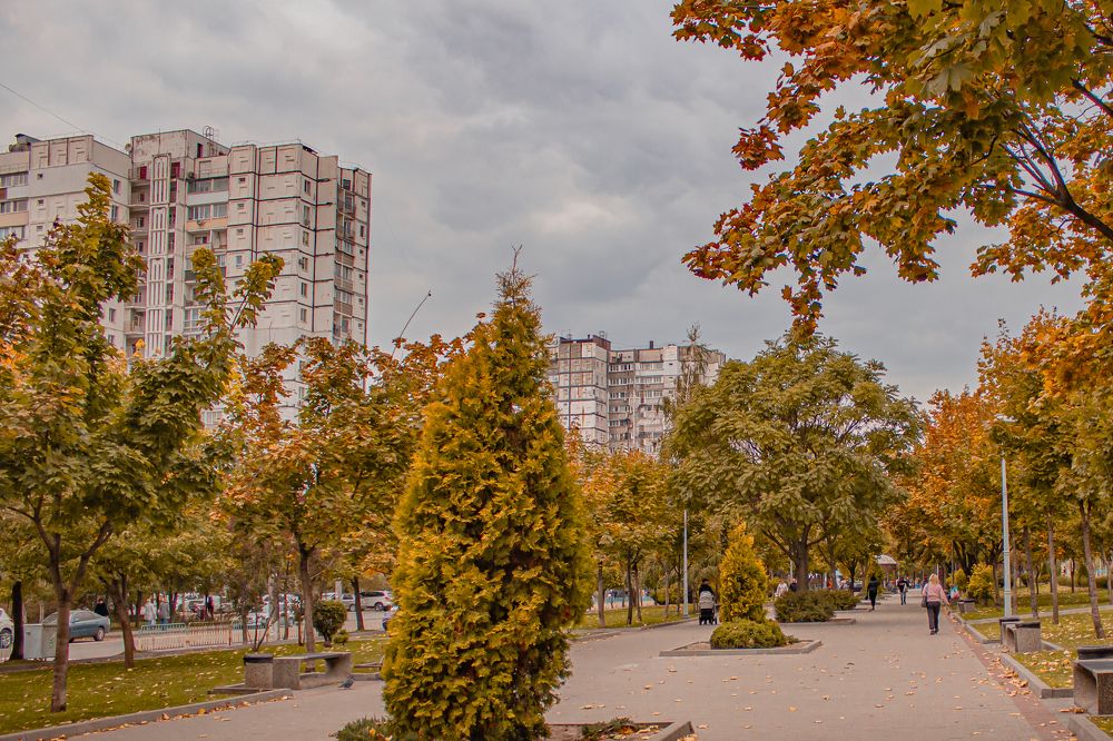 Photograph by Таисия Стафеева