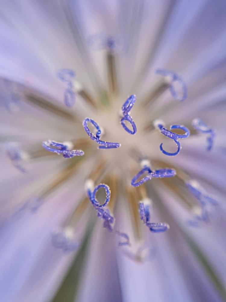 Photograph by Ewa Siwiecka