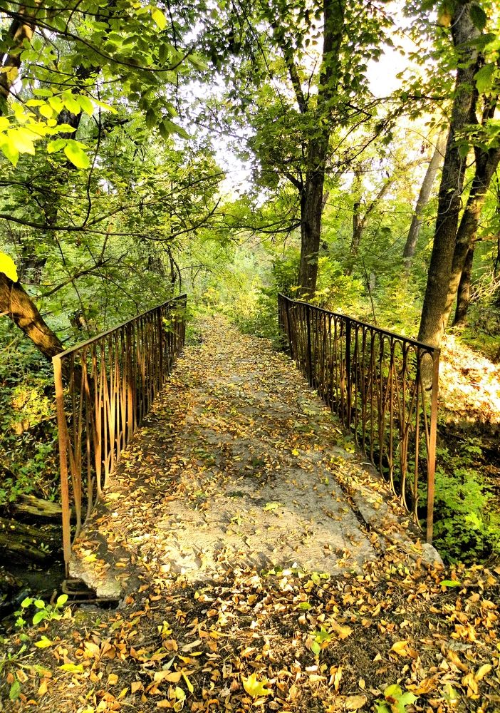 Photograph by Александр Малютин