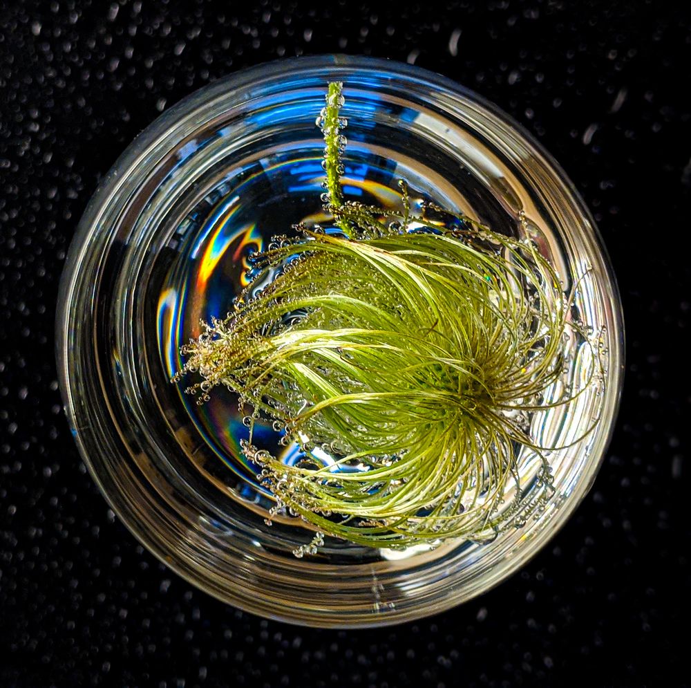 Photograph by Ewa Siwiecka