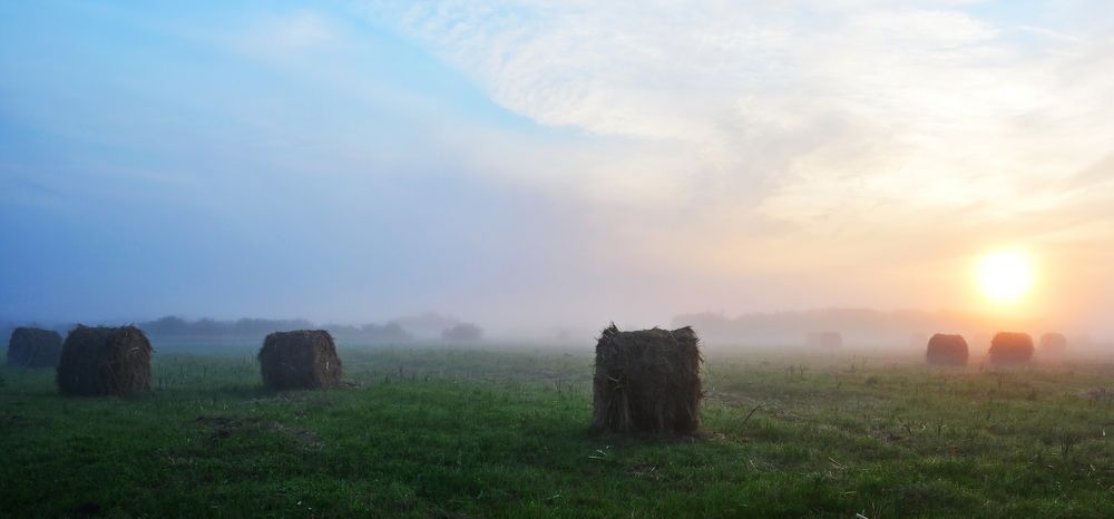 Photograph by Andrey