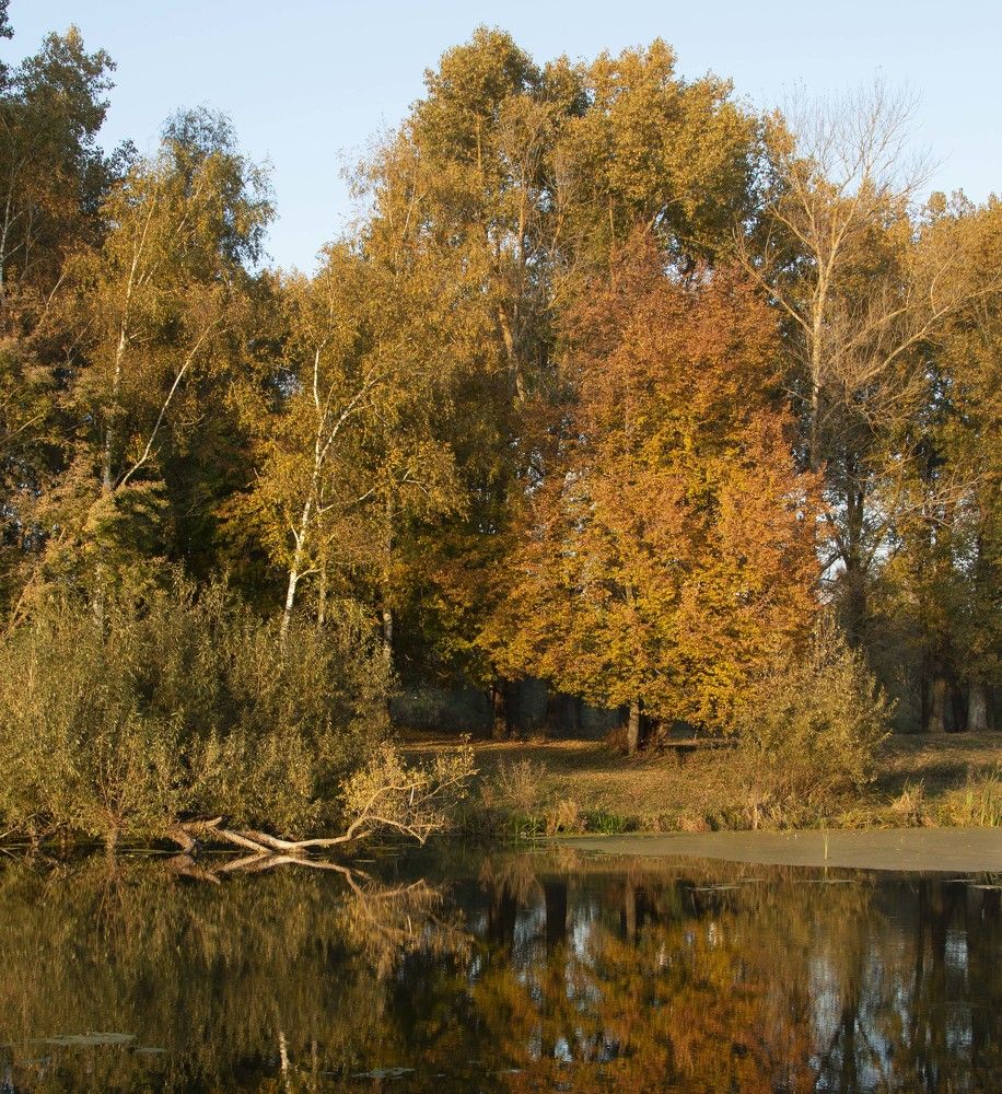 Photograph by Татьяна Коровушкина