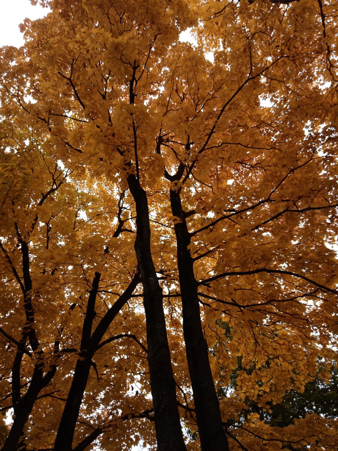 Photo #6559951