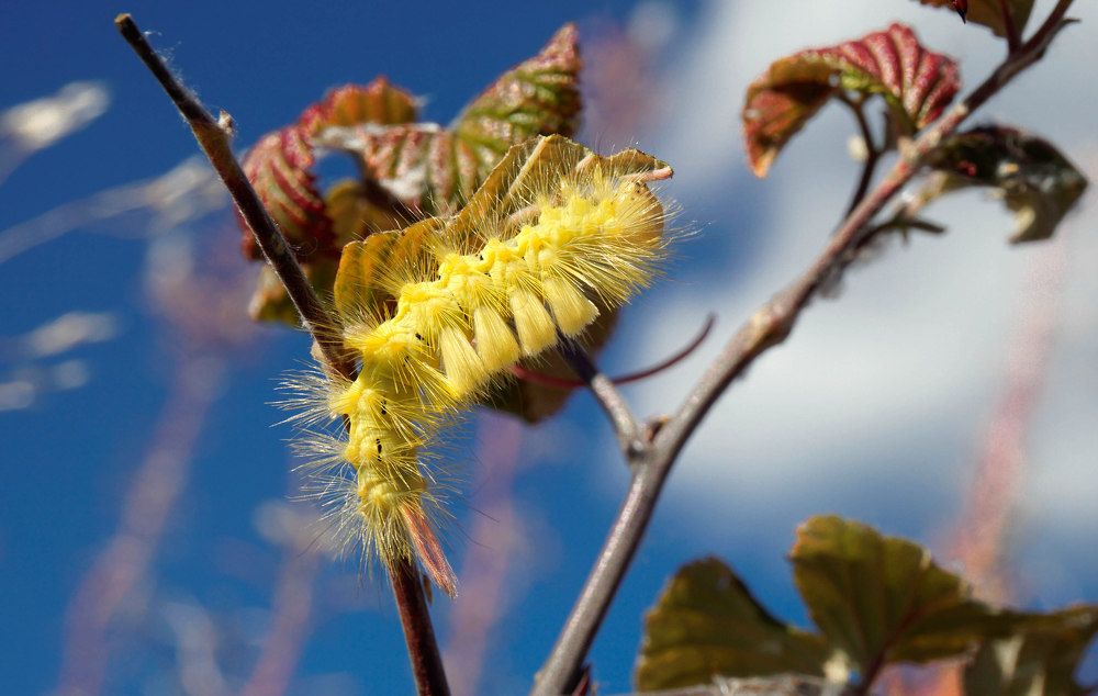 Photograph by Ави Христова