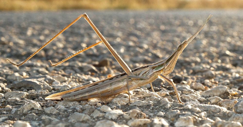 Photograph by Ави Христова